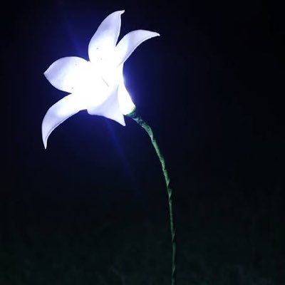 finalanswer07's profile picture. ゲーム垢