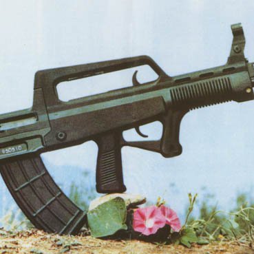 I'm a pro second amendment center right wing American who is definitely not fighting for the kaiser and the restoration of the second Deutches reich