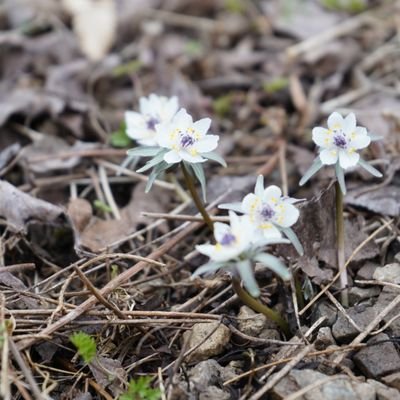 sunagano1's profile picture. 長野県住み@♂ 珈琲・ 車・バイク・ゲーム・アウトドア⛺キャンプ