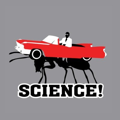 11isnotpresent's profile picture. 