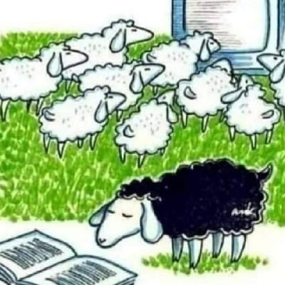 mirmaria17's profile picture. 🇦🇷🐱Ciudadana cansada del eterno robo de nuestro futuro en manos del Pjk y sus derivados.🦍Hoy ilusionada con recuperar la República 🇦🇷💛