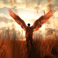 Angel of goodnes (@aofgoodnes) 's Twitter Profile