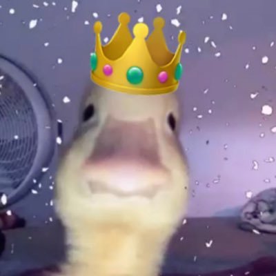 SeLibreSenor's profile picture. Por favor beber agua hoy. Soy un hombre.