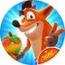 Crash Bandicoot: On the Run (@CrashOnTheRun) Twitter profile photo