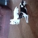 Steve Chaffin - @lawbug - Twitter