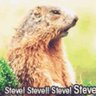 _Just_Steve_'s profile picture. I'm a builder, I'm the son of the son of a builder - I bleed red * * * * * LFC Also an old Beatle fan Yeah Yeah Yeah - one of the 45