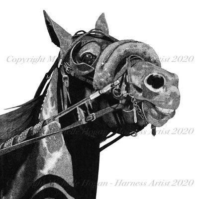 Equine artist and harness racing enthusiast from Ontario, Canada