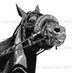 Michelle Hogan (@harnessartist) Twitter profile photo Michelle Hogan (@harnessartist) Twitter profile photo