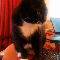 Máire Caffrey(@MaireCaffrey) 's Twitter Profile Photo Máire Caffrey(@MaireCaffrey) 's Twitter Profile Photo