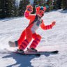 AviFox's profile picture. Love Life😃•Spread Kindness🤗•SFW👍🏻•Fursuiter🐾•Sushi🍣•Whisky🥃•Cook🍳•Skier⛷•Programmer💻•Domainer🌐•Cybersecurity Lawyer⚖️• Party Fox🎉•@rondofoxcoon❤️