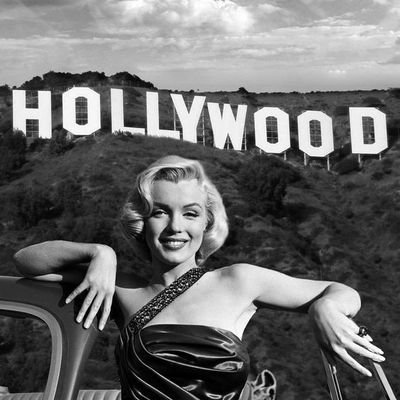 Martinokaa's profile picture. {nadie muere virgen, la vida nos coge a todos}