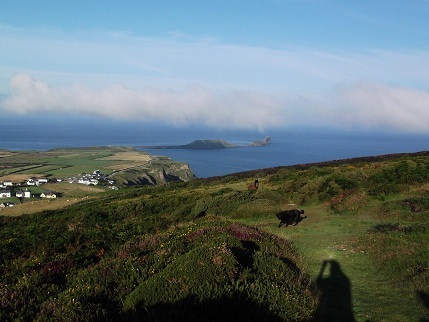 karentho's profile picture. The UK's largest online store dedicated to the humble salt and pepper shaker, find us at http://t.co/FshXE4c5VH. All items dispatched within one day.