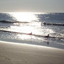 Dr. Kim Rocha - @drkrocha - Twitter