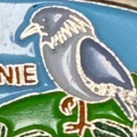 おふ (@off_o_f_f) 's Twitter Profile