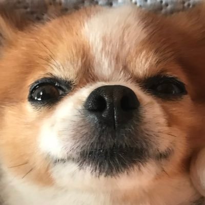 h_ryuto2187's profile picture. 静岡県立大学薬学部薬学科 3年