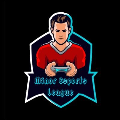 Major eSports League
Minor eSports League
8 teams
2 divisions
1 winner