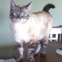 Jenna Betts - @cuddle3bunny - Twitter