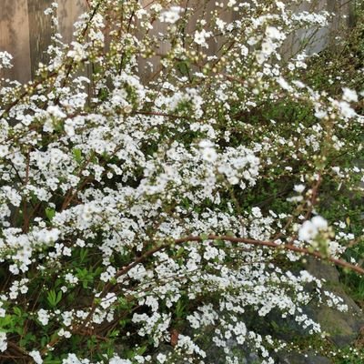 ichirotamaki's profile picture. 音楽とテクノロジーが好き