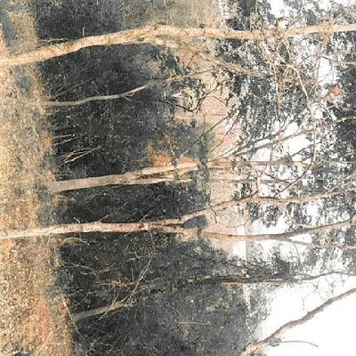 iccwOntGX9fWgss's profile picture. เป็นคนตลก