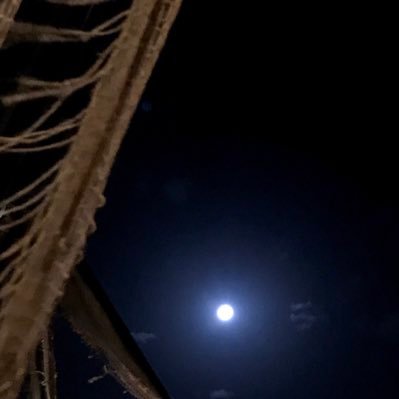 suZogPABnbtBPLj's profile picture. 