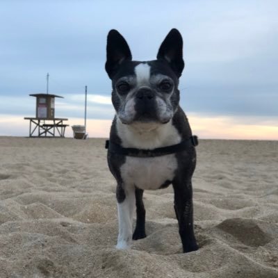 BustersDadAG Profile Picture