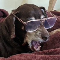 james (@jamesbc81) 's Twitter Profile Photo