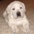 Danutty200451's profile image