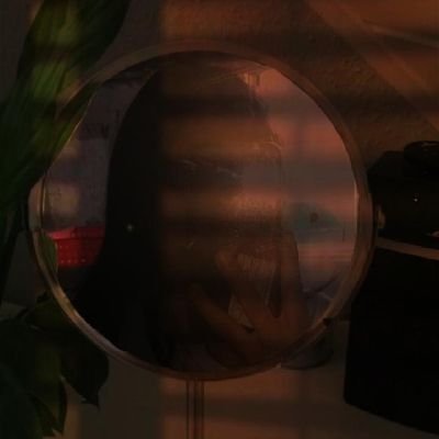 Clyrose4's profile picture. 🦋