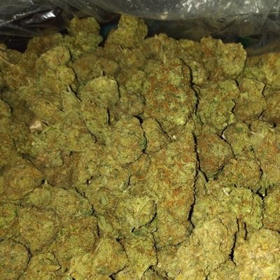 1smoothmove1980's profile picture. 