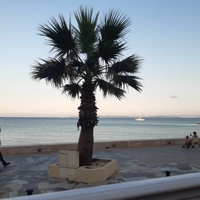 BegueCeline1's profile picture. rien