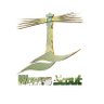 wavesscoutforex's profile picture. Waves Scout Forex is a signal service giving people from all walks of life the opportunity to benefit from our expert analysis and achieve consistent results in