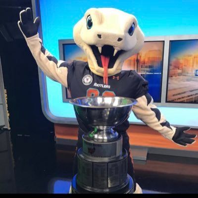 Official twitter account of the 6-time World Champion 💍 🏆 @ArizonaRattlers mascot, Stryker D. Rattler! Protector of the Snake Pit! 🐍 #StrikeAsOne