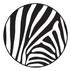 persona_africa's profile picture. 