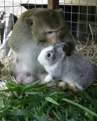 Animals have feelings, too. Just like us, human.
Avatar: http://t.co/MtrBXBdaof
