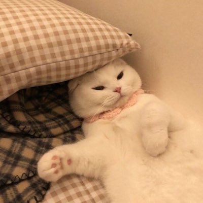 ohl_nnk's profile picture. 99,Tokyo￤CS 🔆🧡 ￤OHL🧩@kanna_OHL ☻