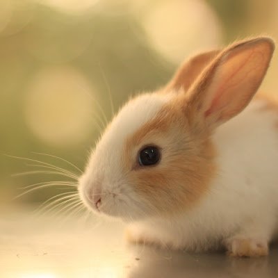 btillz2's profile picture. 