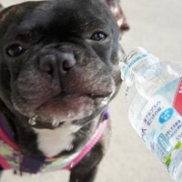 nono_ (@french_gaspard) 's Twitter Profile Photo