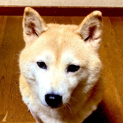 Twitter初心者です🙇‍♂️ ロマンスで衝撃！エレカシで沼落ちです😆宮本さんとエレカシを応援しています！宜しくお願いします！