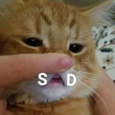 nguien11's profile picture. lazy ass