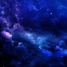 hen_house20's profile picture. 