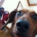 Meredith Elmore - @UNOgirl14 - Twitter