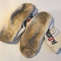 socksgalore (@socksgalore1) 's Twitter Profile