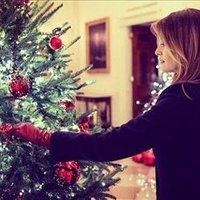Alexander PARKS ❤️ Memecoin (@alexand24008238) 's Twitter Profile