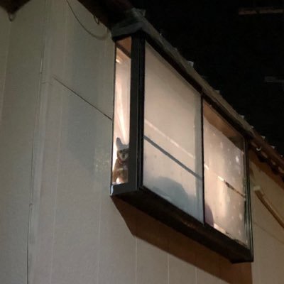nutu_326's profile picture. VBAの動画を見てすごさに感動。会社の手作業の業務を減らすために勉強しています。ようやく慣れてきました♪