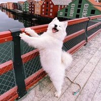 Bartek22830 (@bartek22830_) 's Twitter Profile