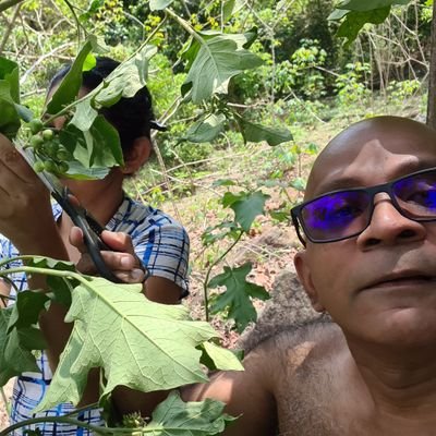 KamalJayasuriya's profile picture. Director NTMC
Consultant Surgeon