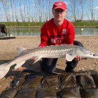 Jos Koets (@jos_koets) 's Twitter Profile