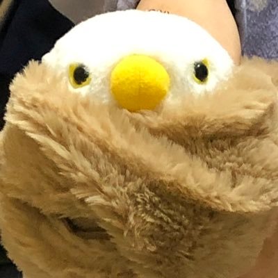 こんろさんのプロフィール画像
