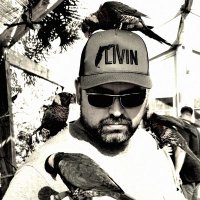 45 Years a Dave (@dmoprime) 's Twitter Profile