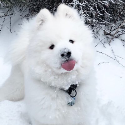 nnxtthx's profile picture. 